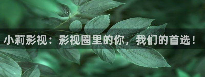 悟空在线视频观看：小莉影视：影视圈里的你，我们的首选！