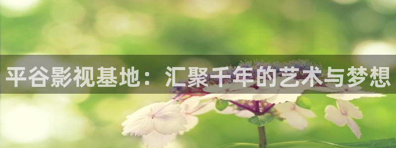 悟空影视免费：平谷影视基地：汇聚千年的艺术与梦想