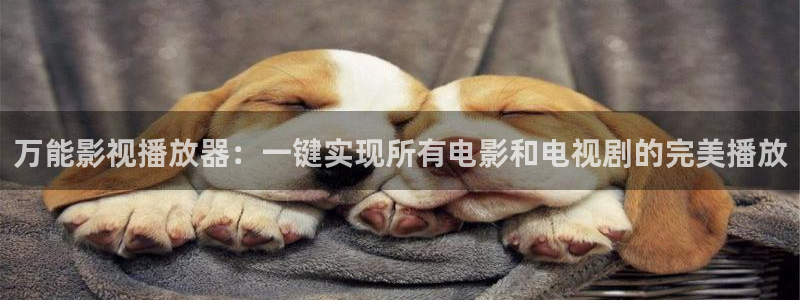 悟空免费影视：万能影视播放器：一键实现所有电影和电视剧的完美播放