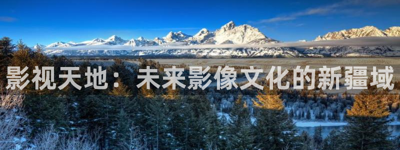 9.1悟空视频：影视天地：未来影像文化的新疆域