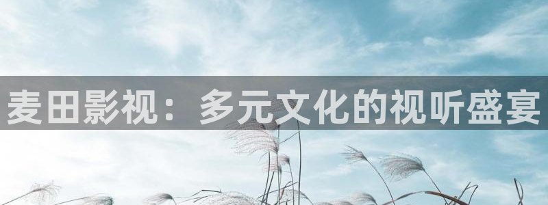 下载悟空视频大全：麦田影视：多元文化的视听盛宴